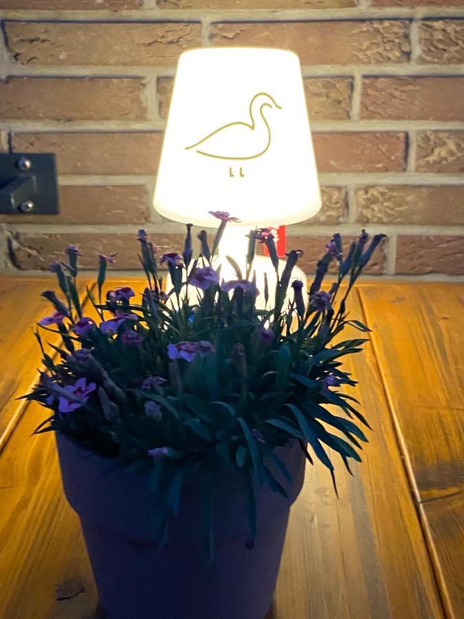 Landhotel Jagdschloesschen Ашеберг Екстериор снимка